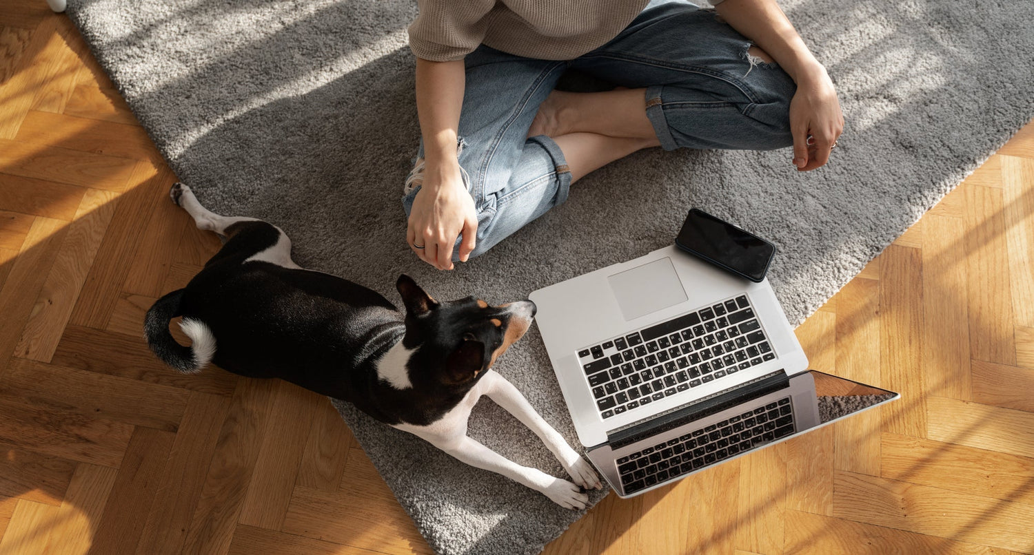 How Social Media Has Changed the Way We Feed Our Pets