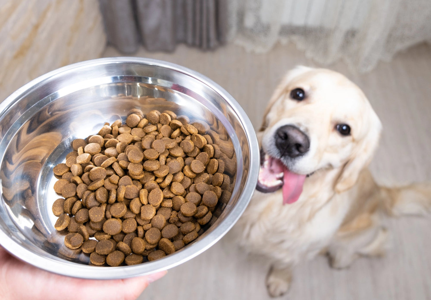 How to Tell If a Pet Food Brand Is Actually Premium (Without Marketing Spin)