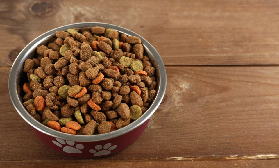 The Truth About Kibble: Why Fresh Matters for Your Pet’s Health
