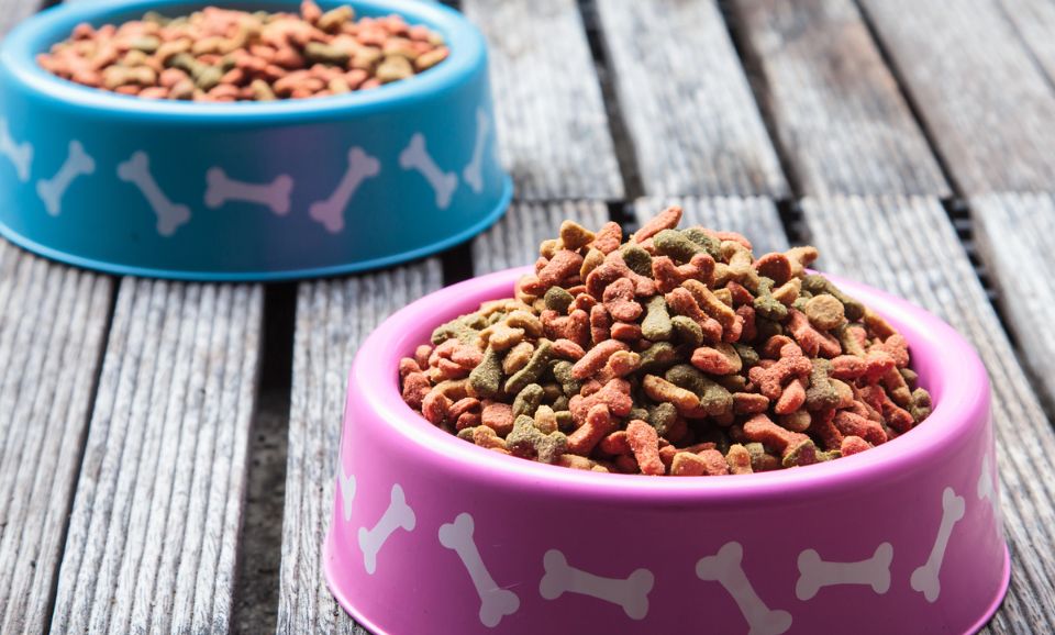 How to Store, Serve, and Use Pet Food for Maximum Freshness